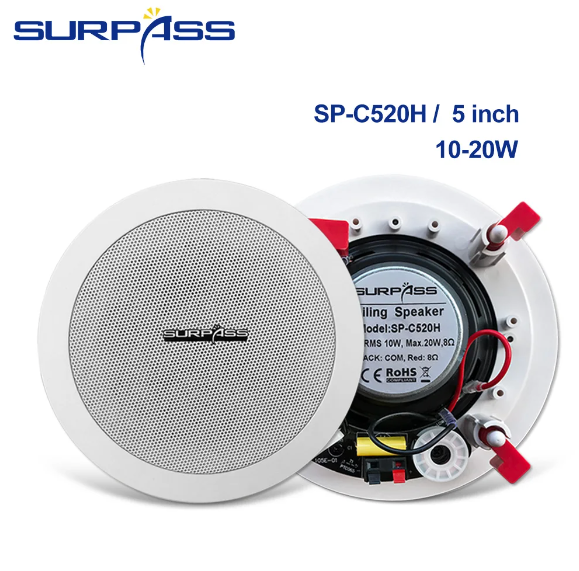Surpass Audio, Active Speakers 20W