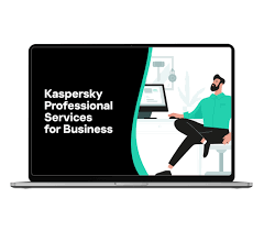 Kaspersky Professional Services