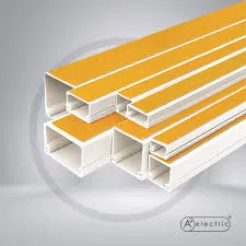 TRUNKING 25*30 AVEC COLE