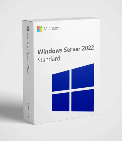 MICROSOFT WINDOWS SERVER 2022 STANDARD - LICENSE