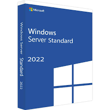 Microsoft Window Server 2022 Standard - License